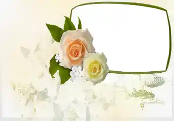 Hiệu ứng ảnh từ danh mục Thiệp mời № 4455. Chữ trên khung: Lời mời đến... Hiệu ứng ảnh từ danh mục Thiệp mời № 4455. Chữ trên khung: Lời mời đến...