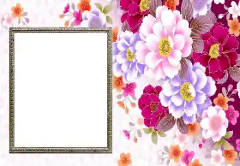 Hiệu ứng ảnh từ danh mục Khung ảnh nữ № 206192 Hiệu ứng ảnh từ danh mục Khung ảnh nữ № 206192