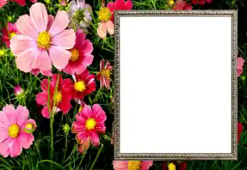 Hiệu ứng ảnh từ danh mục Khung ảnh nữ № 206194 Hiệu ứng ảnh từ danh mục Khung ảnh nữ № 206194