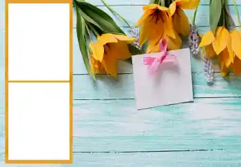 Hiệu ứng ảnh từ danh mục Khung ảnh nữ № 206196 Hiệu ứng ảnh từ danh mục Khung ảnh nữ № 206196